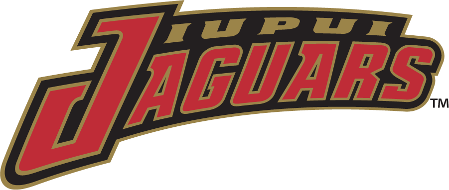 IUPUI Jaguars 1998-2007 Wordmark Logo DIY iron on transfer (heat transfer)